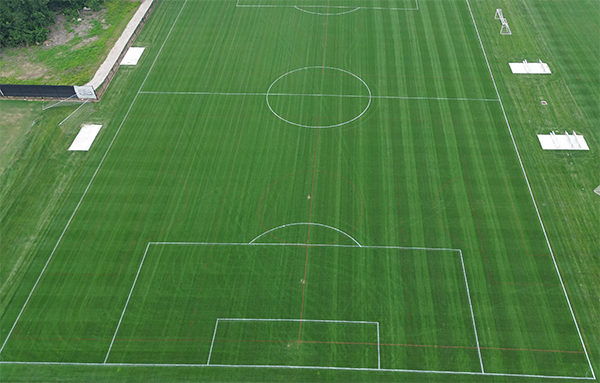 Repaint fields in minutes