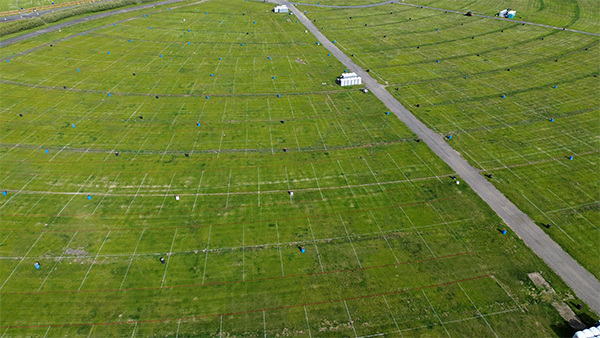Event field striping layout